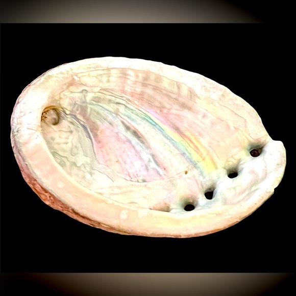 Abalone Natural Shells approx. 4” x 3” - Picture 5 of 5